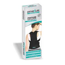 OrthoLife Posture Back Support